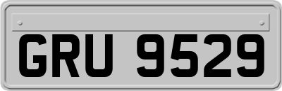 GRU9529