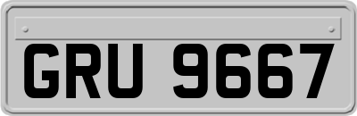 GRU9667