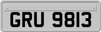 GRU9813