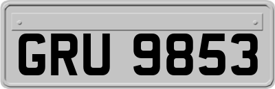 GRU9853