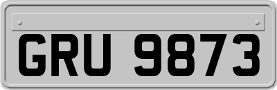 GRU9873