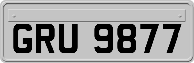 GRU9877