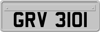GRV3101