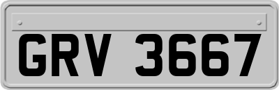 GRV3667