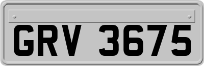 GRV3675