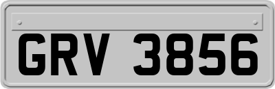 GRV3856