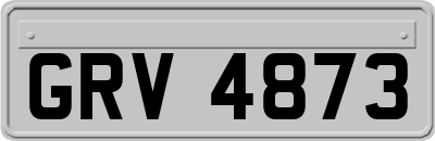 GRV4873