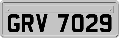 GRV7029