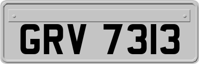 GRV7313