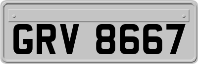 GRV8667