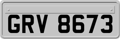 GRV8673