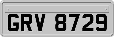 GRV8729