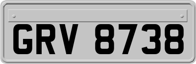 GRV8738