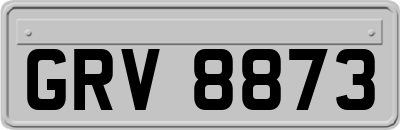 GRV8873