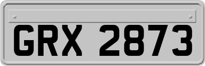 GRX2873