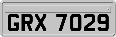 GRX7029