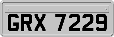 GRX7229