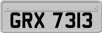 GRX7313