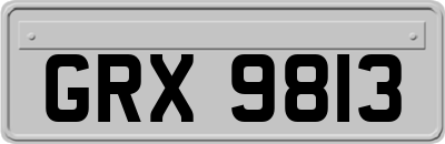 GRX9813