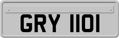 GRY1101