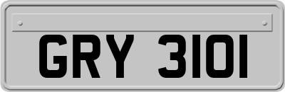 GRY3101