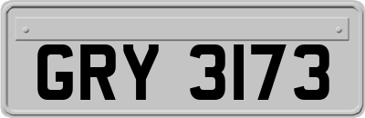 GRY3173