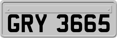 GRY3665