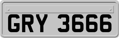 GRY3666