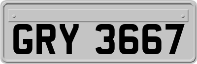 GRY3667