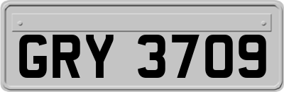 GRY3709