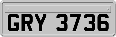 GRY3736
