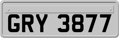 GRY3877