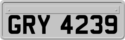 GRY4239