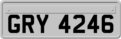 GRY4246