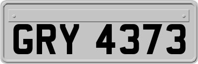 GRY4373