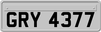 GRY4377