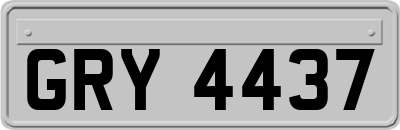 GRY4437