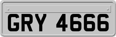 GRY4666