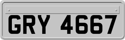 GRY4667