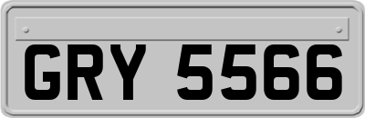 GRY5566