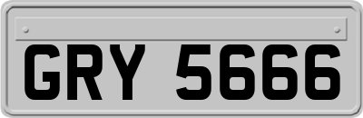 GRY5666