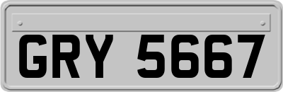 GRY5667