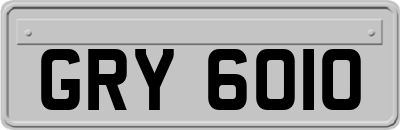 GRY6010