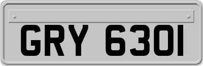GRY6301