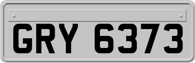 GRY6373