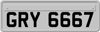 GRY6667