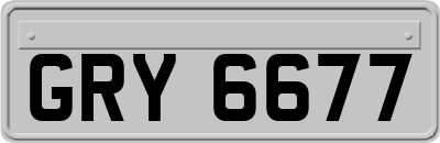GRY6677
