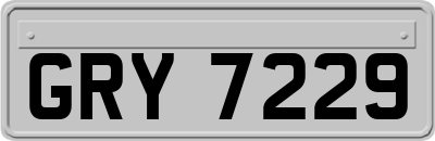 GRY7229