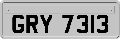 GRY7313