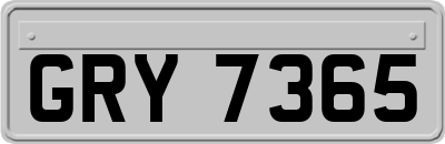 GRY7365